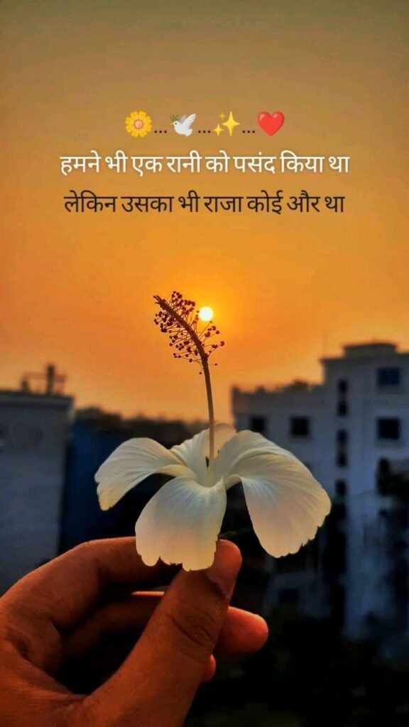 Romantic Shayari for wife in Hindi 